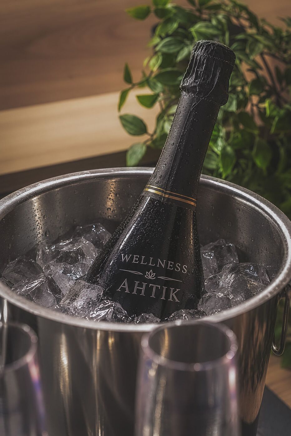 Penina v vedru z ledom z napisom Wellness Ahtik